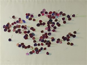 Image description is not available for 2008.041